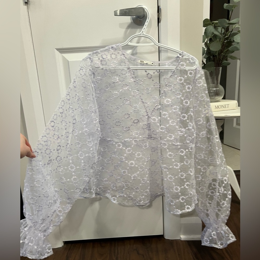 Zara sheer top